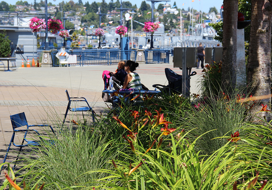 Bremerton-flowers.jpg