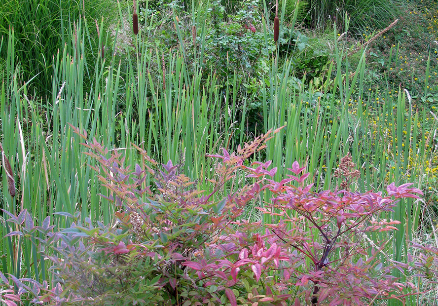 Childrens-planting.jpg